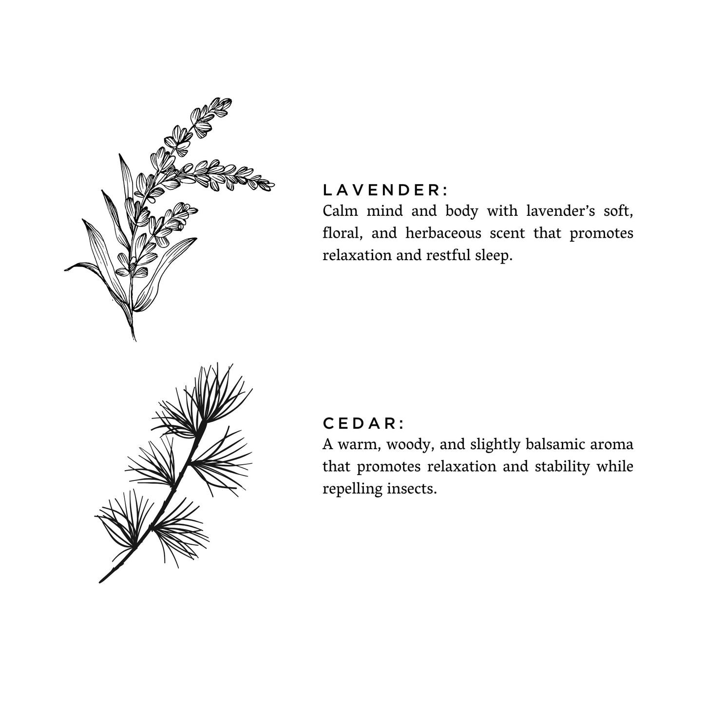 Aroma Bundle - Lavender & Cedar