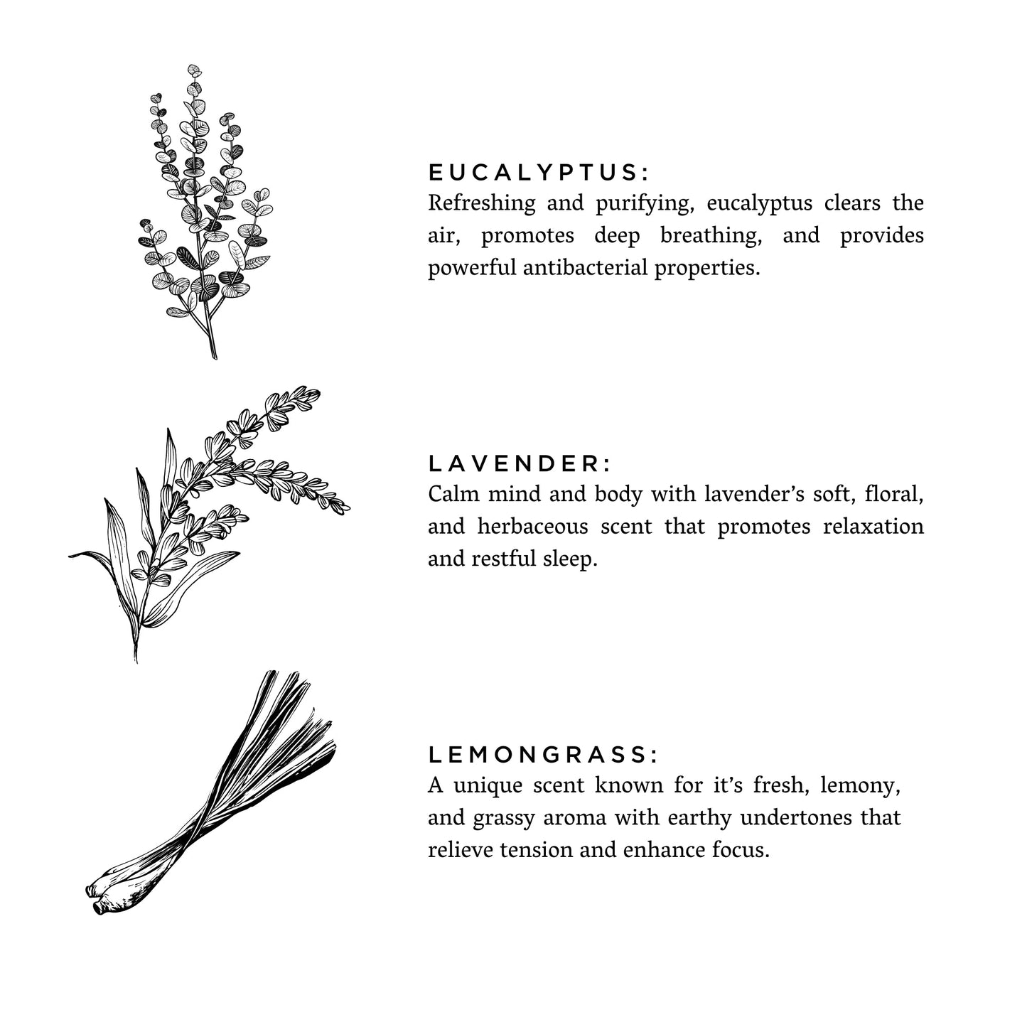 Aroma Bundle - Shangri La